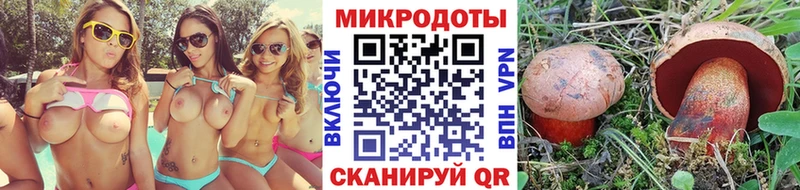 Галлюциногенные грибы MAGIC MUSHROOMS  Новокубанск 